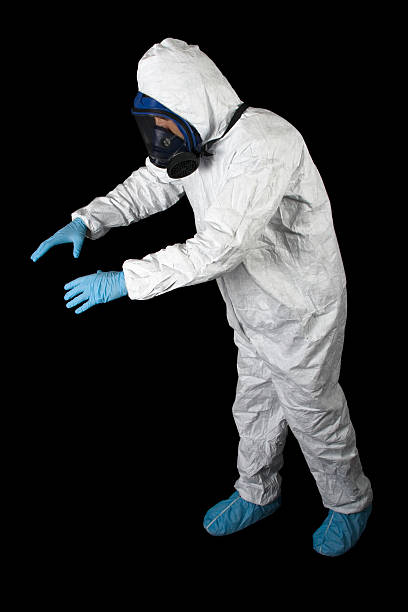 Best Mold Damage Restoration  in Manchester, MI