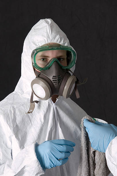 Best Basement Mold Removal  in Manchester, MI